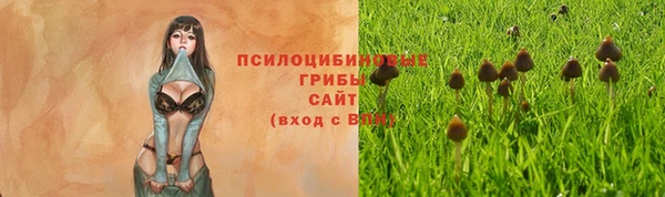 кокаин перу Горнозаводск
